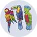 exotic bird cutouts