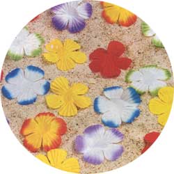 silk flower petals