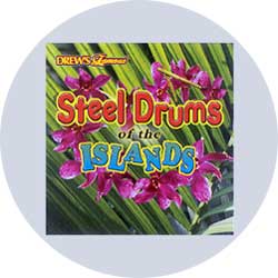 steel drums party music