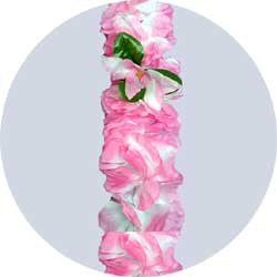 pink orchid leis
