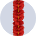hibiscus leis