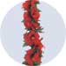 hibiscus leis