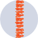 orange aloha leis