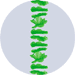 green aloha leis