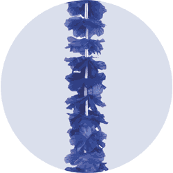 blue aloha leis