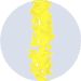 yellow aloha leis
