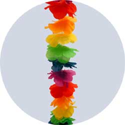 rainbow wrystlet