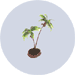 mini palm tree decoration