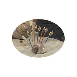 shell picks