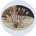 shell picks