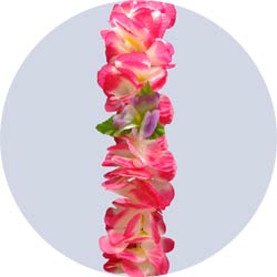 hot pink tropical orchid leis