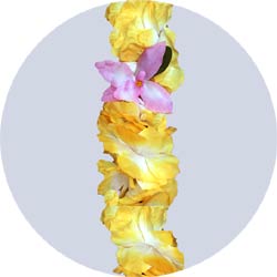 yellow orchid leis