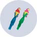 feather parrot decorations small