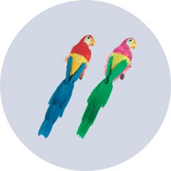 feather parrot decoration small
