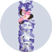 blue orchid wrystlet