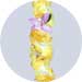 yellow orchid wrystlet