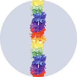 rainbow wrystlet