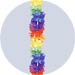 rainbow wrystlet