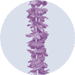 purple leis headband
