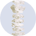 white leis headband