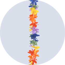rainbow party leis